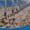 DEWI Rampungkan Akuisisi