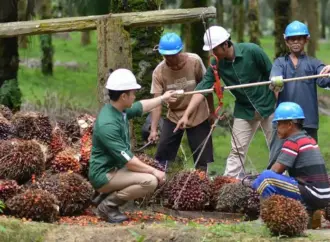 Tiga Aksi Korporasi SMAR Berbarengan: Dividen Rp270, Buyback di Atas Pasar, dan Merger Internal