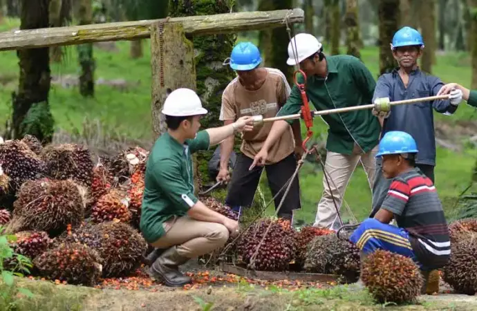 Tiga Aksi Korporasi SMAR Berbarengan: Dividen Rp270, Buyback di Atas Pasar, dan Merger Internal