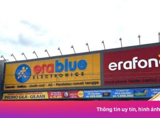 Dien May Xanh Siapkan IPO dengan Arus Kas Bebas Signifikan dan Jaminan Dividen 50%