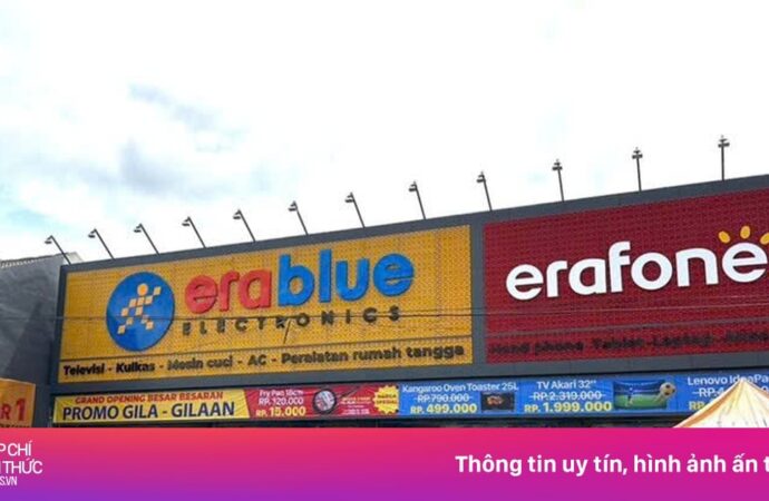 Dien May Xanh Siapkan IPO dengan Arus Kas Bebas Signifikan dan Jaminan Dividen 50%