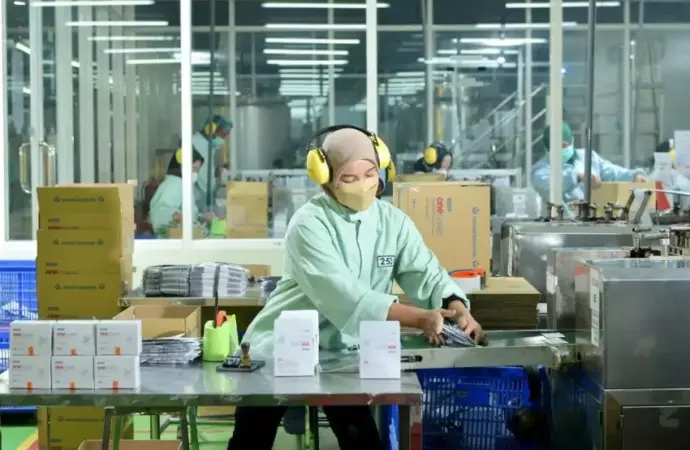 OMED Umumkan Pembagian Dividen Tunai Rp110,4 Miliar, Setara 30% dari Laba Bersih