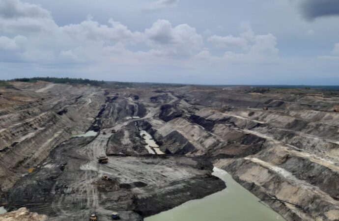 Saham BUMI Diburu Investor Asing di Tengah Kejatuhan IHSG