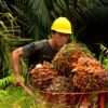 AEP Nusantara Kuasai 98,26% Saham PNGO, Spekulasi Backdoor Listing Menguat