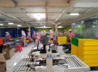 Estee Gold Feet Bagikan Dividen Rp0,8 per Saham, Payout Rasio 43,24%