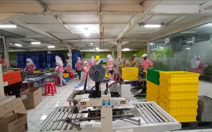 Estee Gold Feet Bagikan Dividen Rp0,8 per Saham, Payout Rasio 43,24%